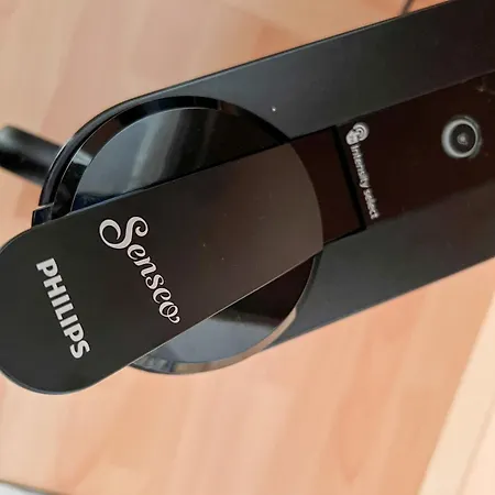 Heringsmoewe * Greetsiel