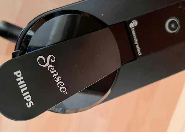 Heringsmoewe * Greetsiel